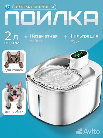 Графический дизайнер, инфографика карточки для мар