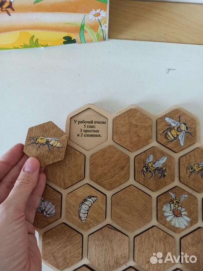 Игрушка улей для изучения пчел