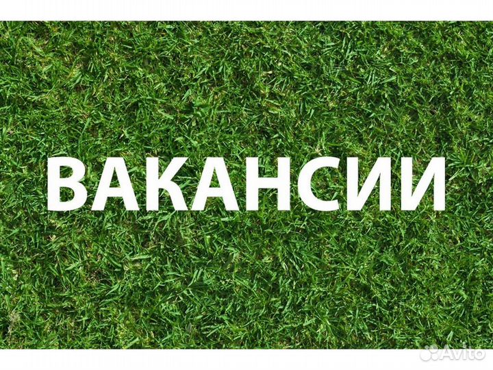 Требуется Официант мск Б/опыта Выплата еженед. /От