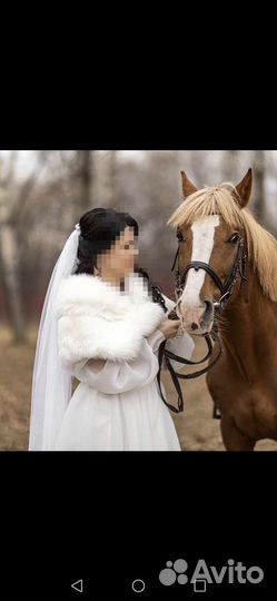 Свадебная накидка