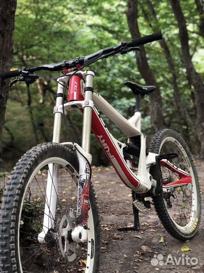 GT fury elite