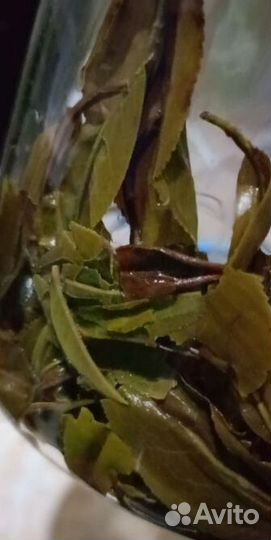 Китайский чай gaba высокое содержание KIT-7913