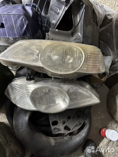 Ноускат Odysey RA9