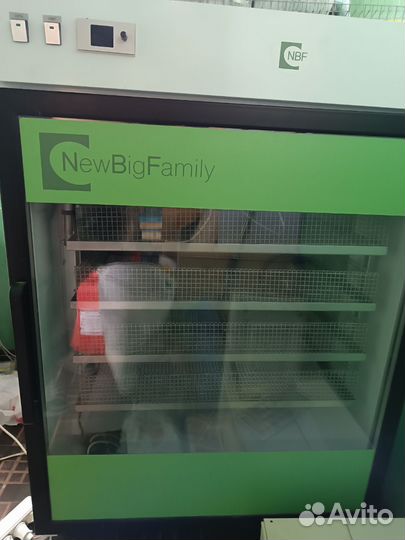 Инкубатор NBF-600