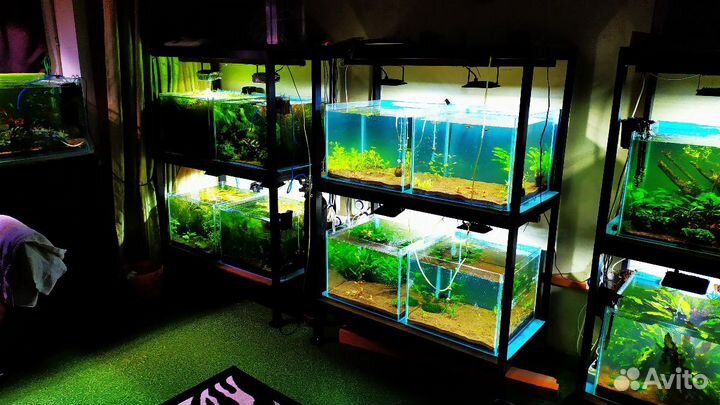 Продам Аквариумы 100л
