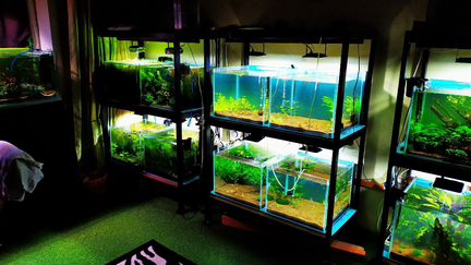 Продам Аквариумы 100л