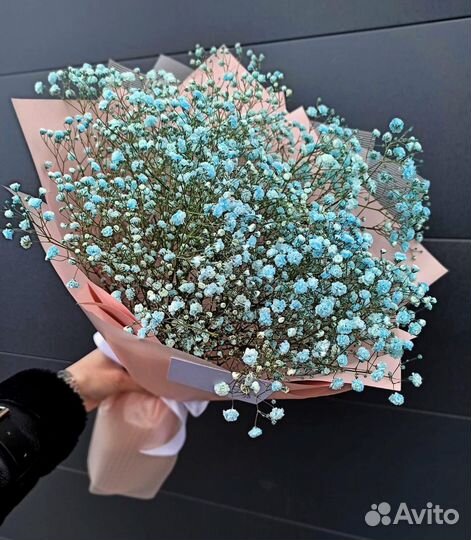 Цветная Гипсофила. Букеты. Доставка/Самовывоз