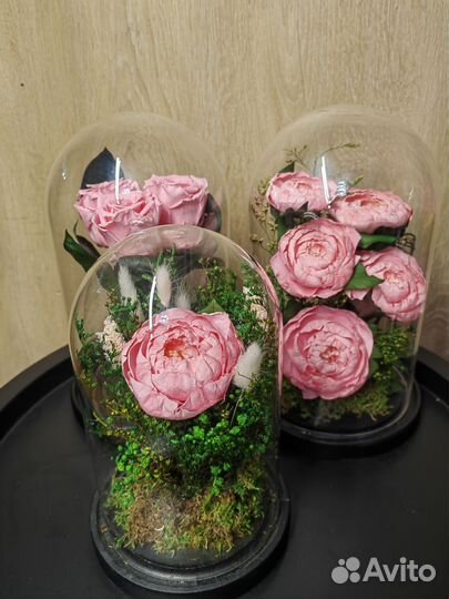 Роза, пионы в колбе, флорариум, ночник, нн2, от