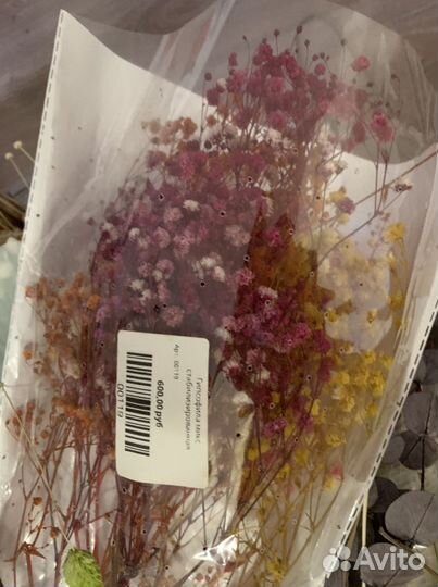 Стабилизированные цветы