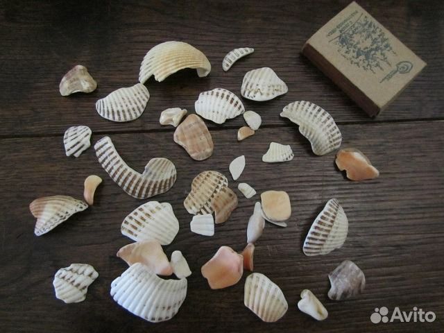 Ракушки, камушки