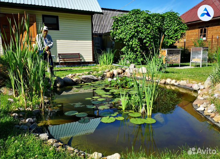 Пруд для ценителей тишины и гармонии с природой