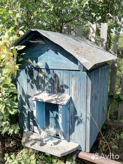 Ульи с пчелами