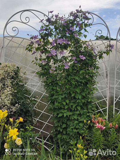 Опора для вьющихся растений