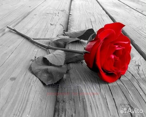 Картина по номерам 40x50 Одинокая красная роза