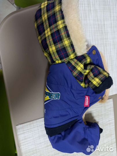 Одежда для маленькой собачки