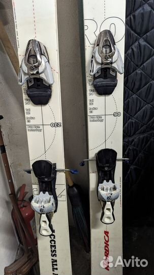 Горные лыжи фрирайд, фристайл, твин тип 184