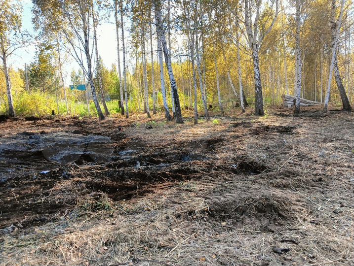 Участок 10 сот. (СНТ, ДНП)