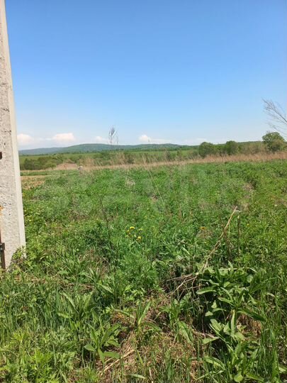 Участок 15 сот. (СНТ, ДНП)