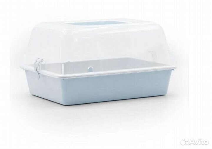 Улитки ахатины продам 1000