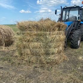 Продам сено в тюках Черлакский район