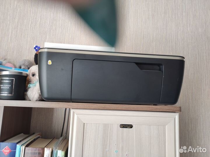 Принтер, монитор, клавиатура, мышь, системный блок