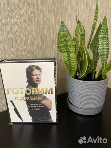 Книга Готовим с Джейми