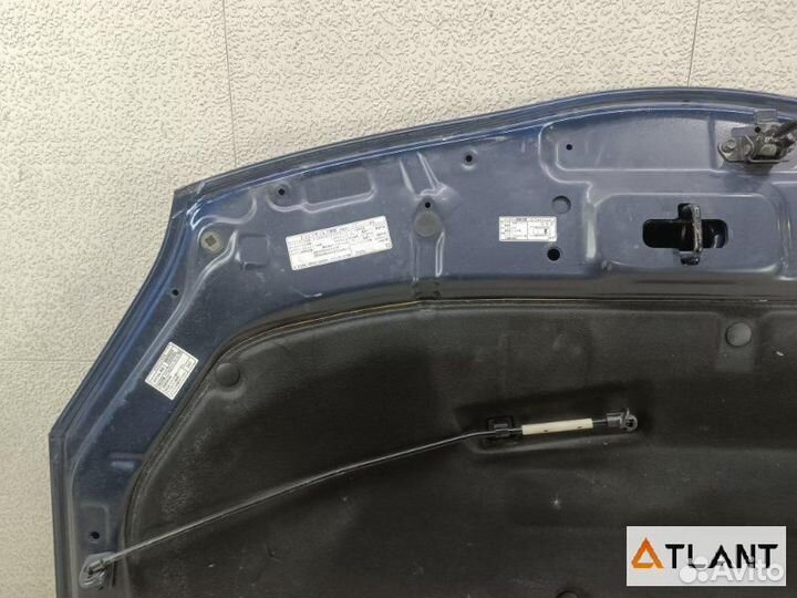 Капот toyota prius