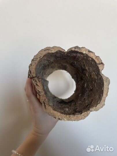 Кора пробкового дуба