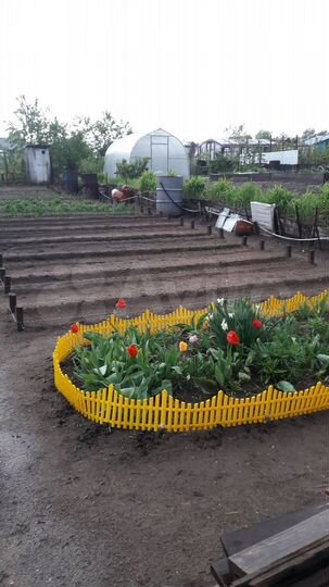 Участок 4 сот. (СНТ, ДНП)