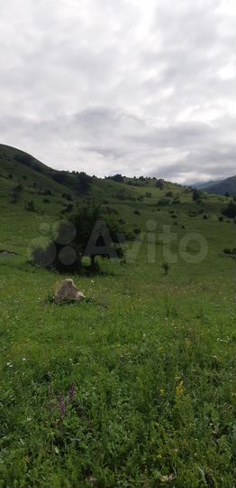 Участок 70 сот. (СНТ, ДНП)