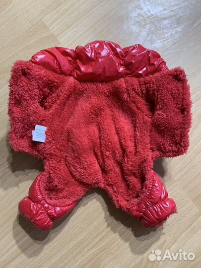 Одежда для собак