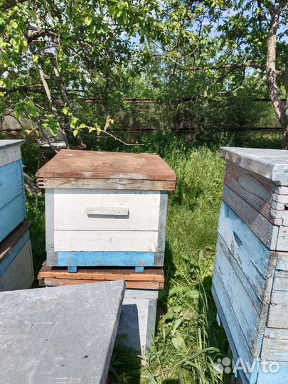 Улей для пчел бу