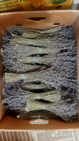 Букетики лаванды