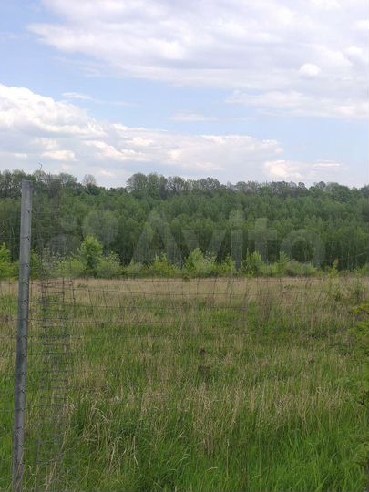 Участок 1,6 га (СНТ, ДНП)