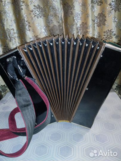 Баян тульский