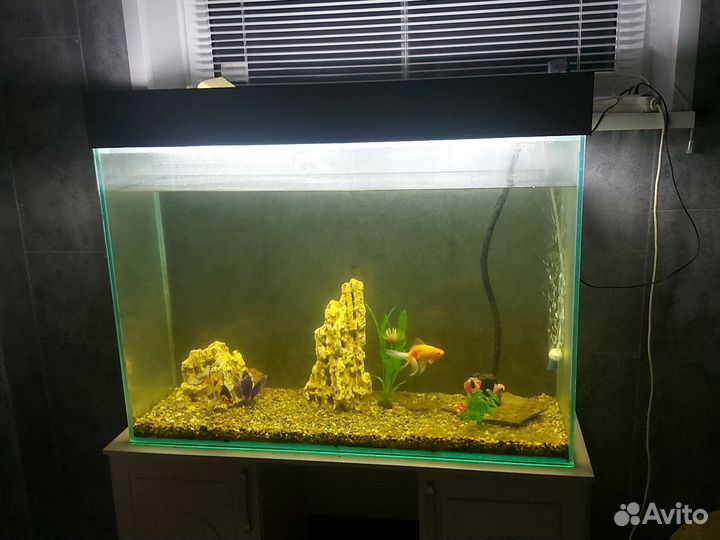Аквариум