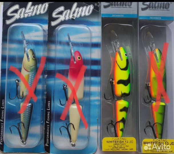 Salmo whitefish 13JD