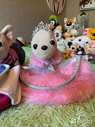 Собаки чичилав