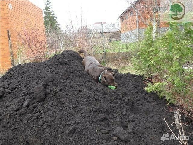 Чернозем Торфосмесь