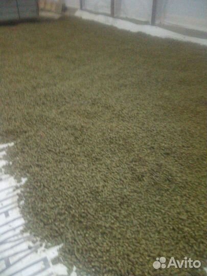 Гранулятор для корма