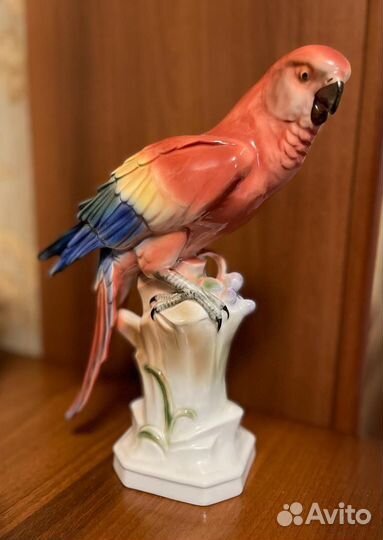 Птица попугай фигурка фарфоровая германия