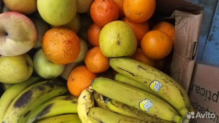 Корм для животных