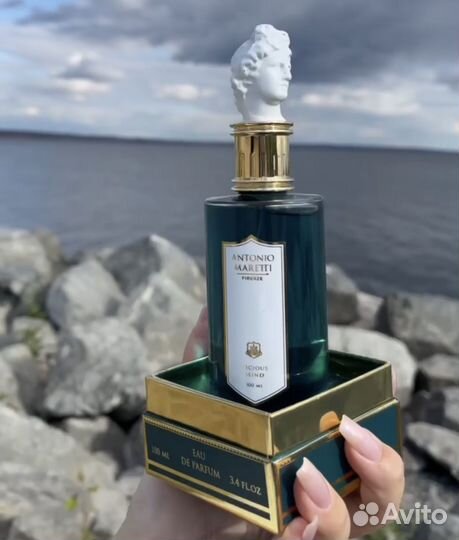 Antonio maretti vicious mind