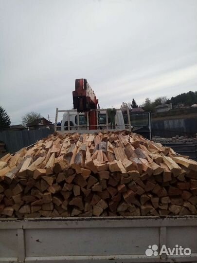 Берёза, лиственница, сосна