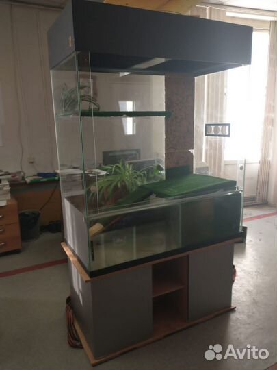Террариум/аквариум