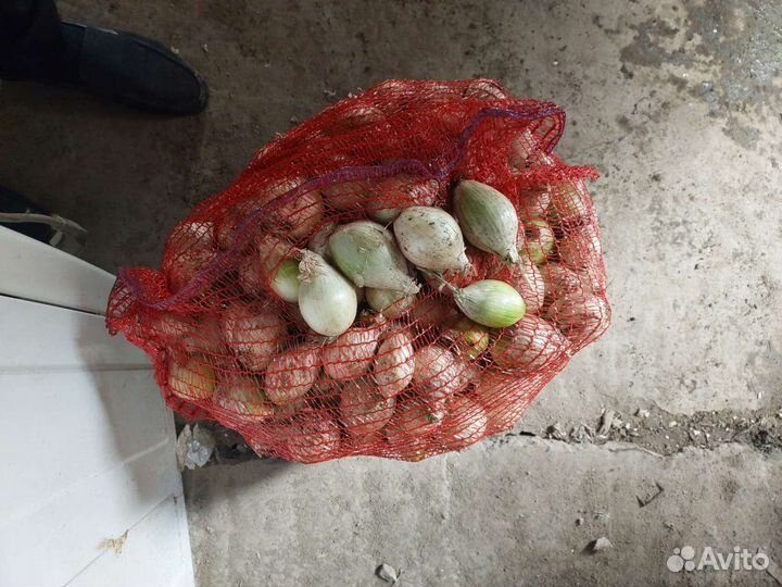 Стардаст Лук на перо