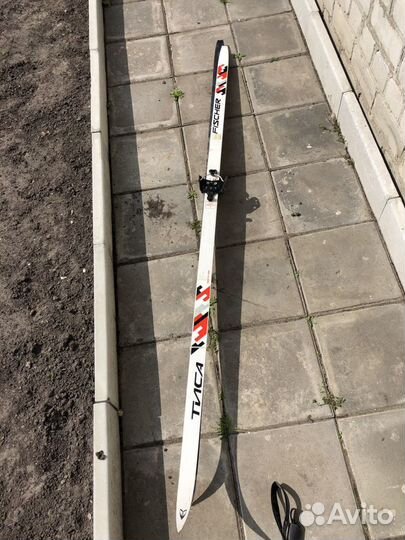 Беговые лыжи fischer