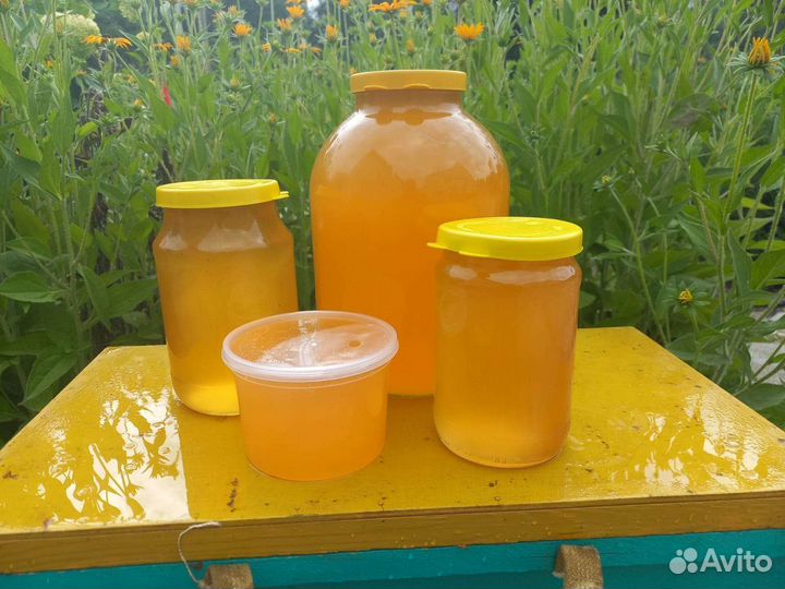 Мед майский