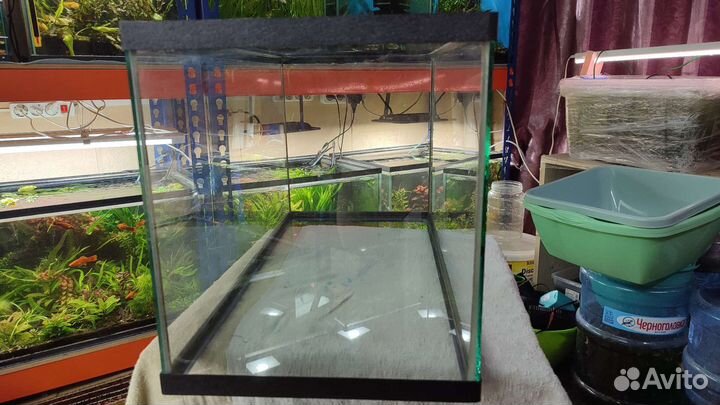Аквариум