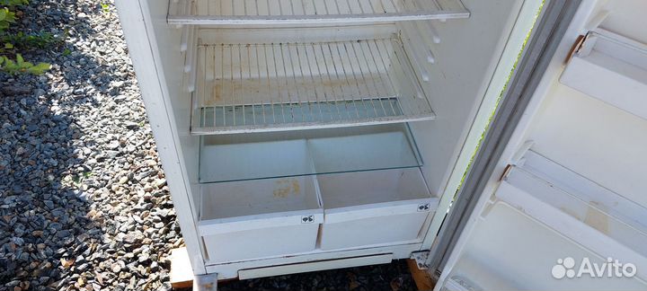 Дачный холодильник, Полюс 10